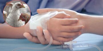 Despiden con dolor a niña de 3 años fallecida por influenza aviar en Gómez Palacio, Durango