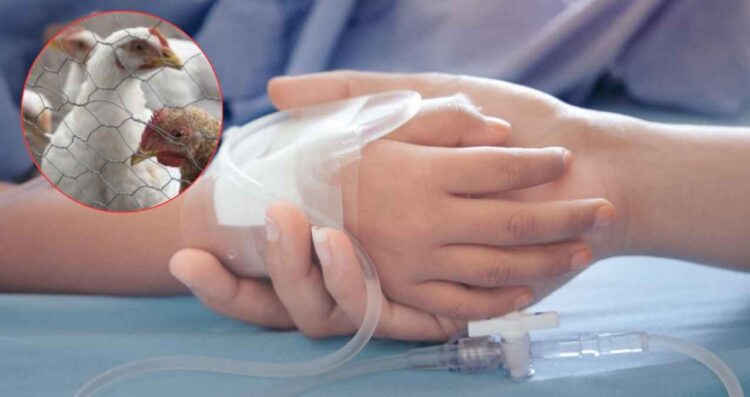 Despiden con dolor a niña de 3 años fallecida por influenza aviar en Gómez Palacio, Durango