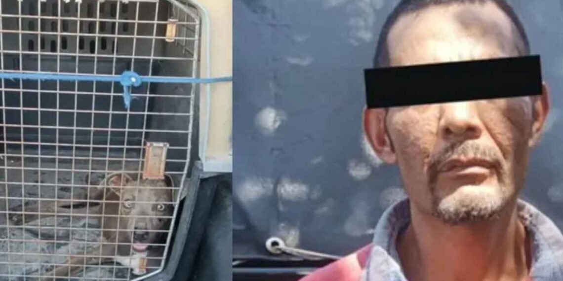 Detienen a hombre por maltrato animal en Zapopan, Jalisco