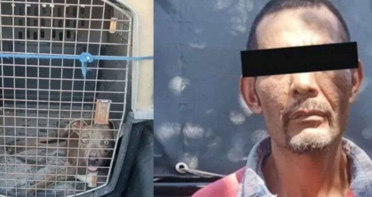 Detienen a hombre por maltrato animal en Zapopan, Jalisco