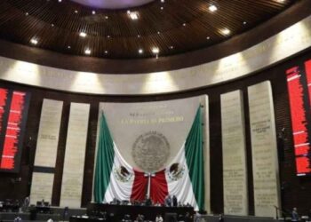 Diputados Armas de fuego