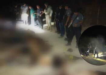 Rancho Viejo 11 muertos