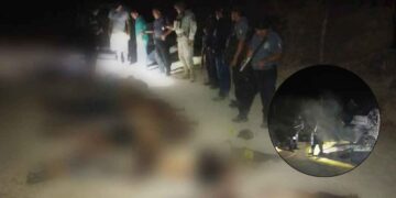 Rancho Viejo 11 muertos