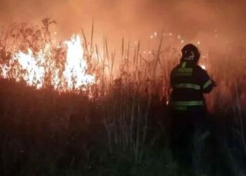 Fallece brigadista Conafor Guerrero