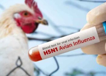 Fallece niña de 3 años que recibía atención médica tras contagiarse de influenza aviar H5N1 en Torreón