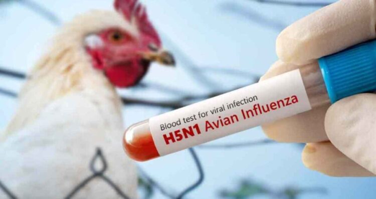 Fallece niña de 3 años que recibía atención médica tras contagiarse de influenza aviar H5N1 en Torreón
