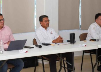 estrategias riesgos salud pública