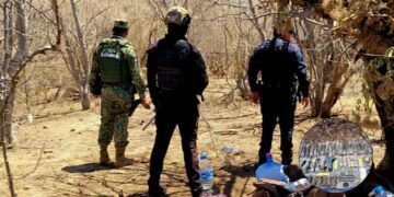 Cinco delincuentes Apatzingán
