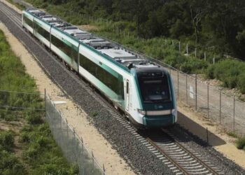 Greenpeace Semarnat Tren Maya