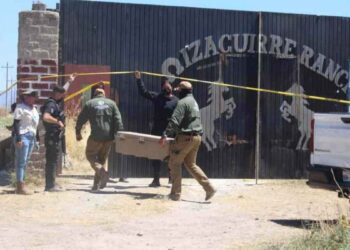 Guerreros Buscadores Gertz Manero