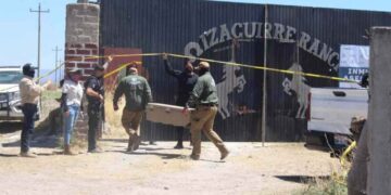 Guerreros Buscadores Gertz Manero