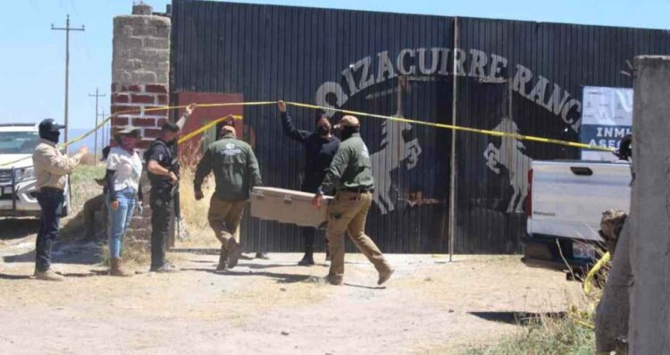 Guerreros Buscadores Gertz Manero