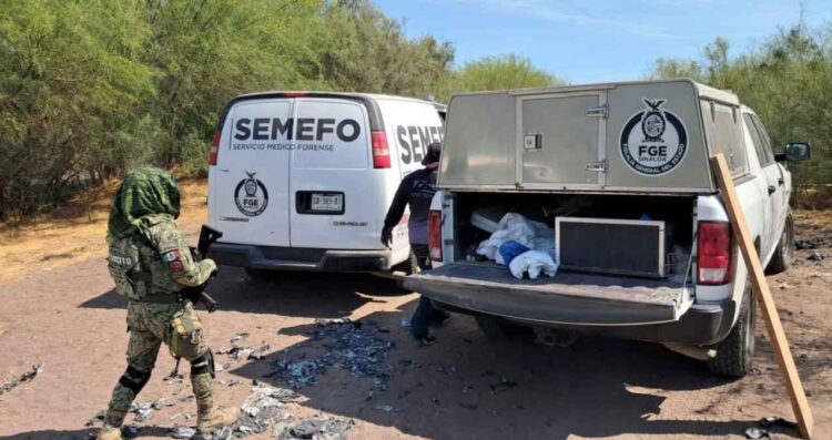 Hallan 11 cuerpos en siete fosas clandestinas en Mezquitillo, Sinaloa