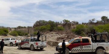 Hallan restos mamut Tula