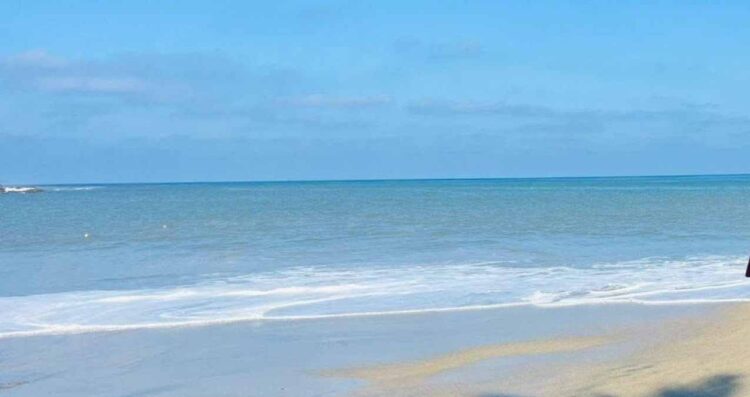 ¿Que alerta hay en las playas de Puerto Vallarta?