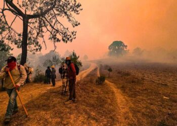 ¿En qué estadios hay incendios forestales activos en México?