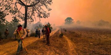 ¿En qué estadios hay incendios forestales activos en México?