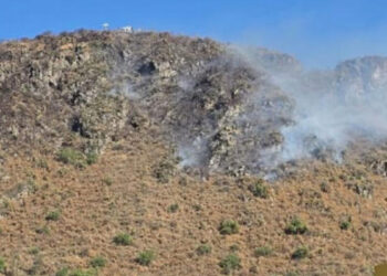 Incendio de pastizal moviliza a cuerpos de emergencia en Iztapalapa