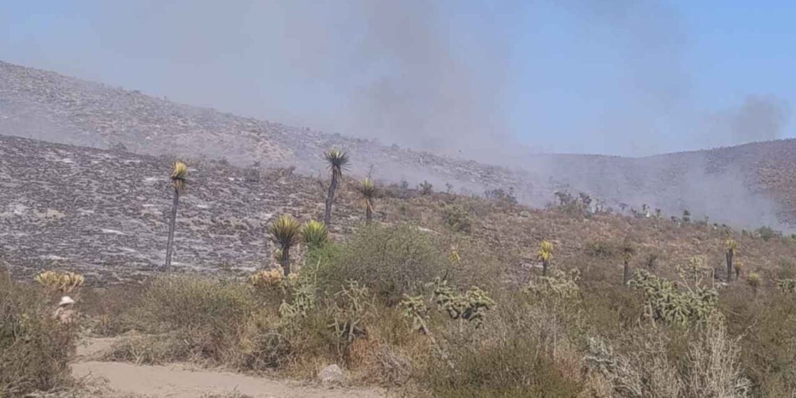 Incendio de pastizales en Tula, Tamaulipas fue provocado PAUT