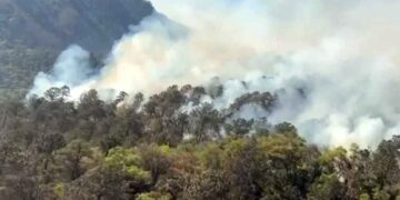 Incendio en Aramberri ha dejado afectaciones en más de 270 hectáreas