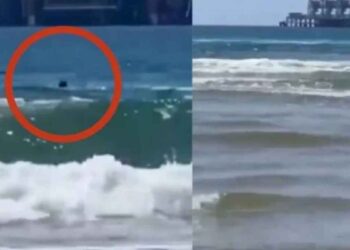 Joven muere tras ataque de tiburón en playa de Israel