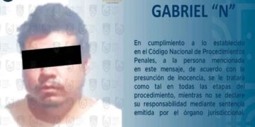 Gabriel N desaparición sobrina