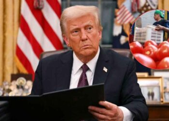 tomate México Trump Arancel