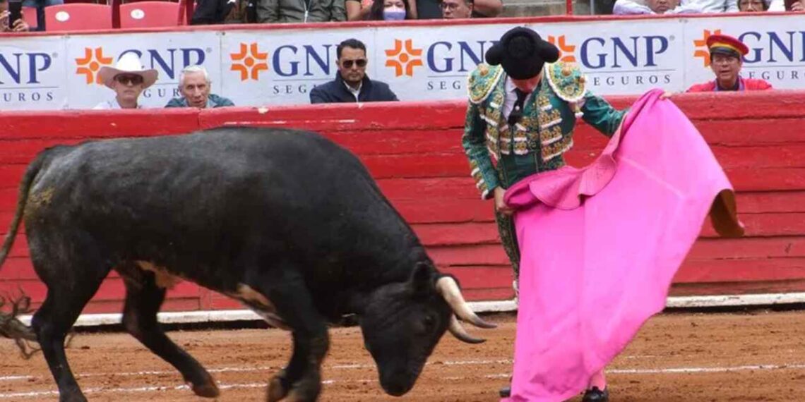 Michoacán prohíbe las corridas de toros y se suma a otros cinco estados