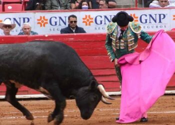 Michoacán prohíbe las corridas de toros y se suma a otros cinco estados