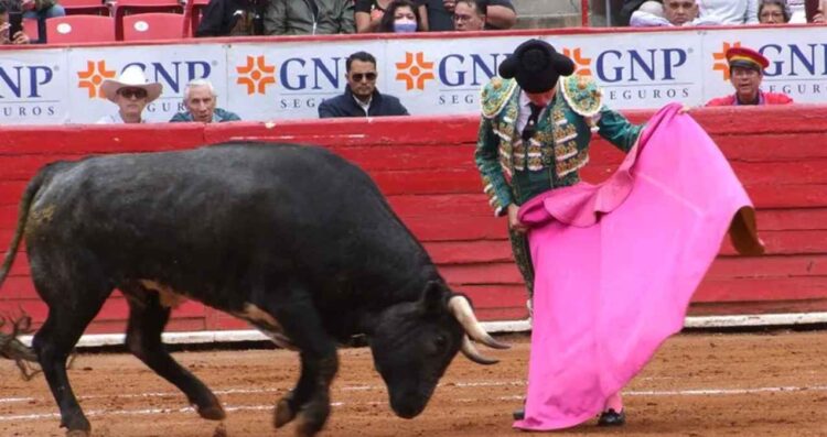 Michoacán prohíbe las corridas de toros y se suma a otros cinco estados