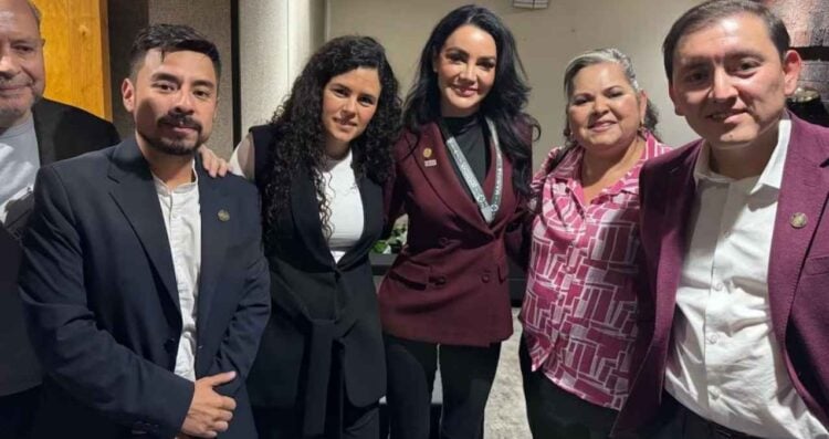 Morena promocionar cargos judiciales