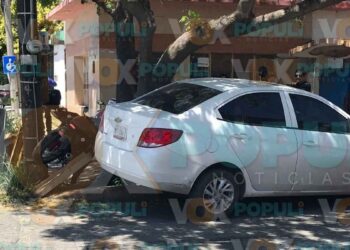 Motociclista omite semáforo y choca contra un árbol en Ciudad Victoria