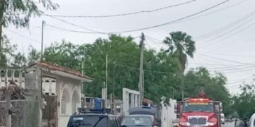 Muere hombre tras ataque de abejas en domicilio de Reynosa, Tamaulipas