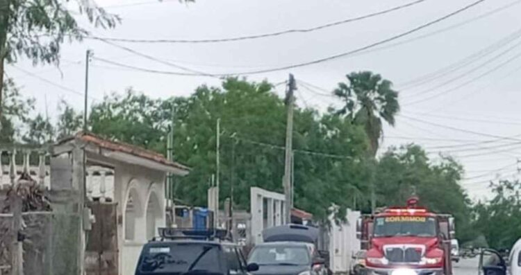 Muere hombre tras ataque de abejas en domicilio de Reynosa, Tamaulipas