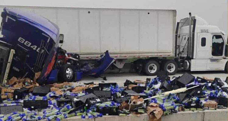 Muere trailero en trágico choque por alcance en autopista de Nuevo Laredo, Tamaulipas