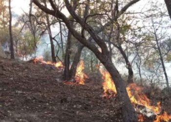 Muere voluntario Guanajuato