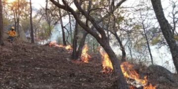 Muere voluntario Guanajuato