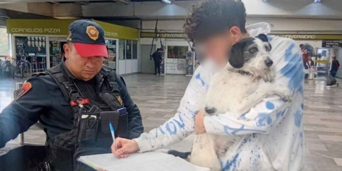 Perrito entra al Metro de CDMX y moviliza a policías; ya está de vuelta con su dueño
