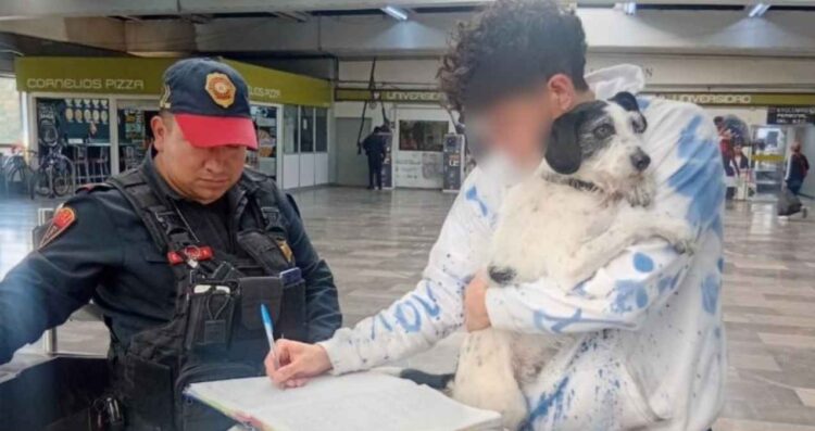 Perrito entra al Metro de CDMX y moviliza a policías; ya está de vuelta con su dueño