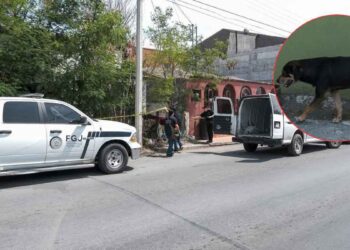 Perro alerta a vecinos y hallan muerto a su amo en casa abandonada de Nuevo Laredo, Tamaulipas