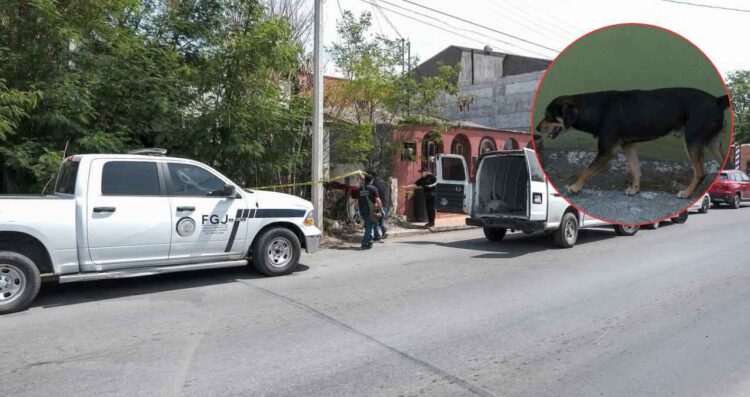Perro alerta a vecinos y hallan muerto a su amo en casa abandonada de Nuevo Laredo, Tamaulipas