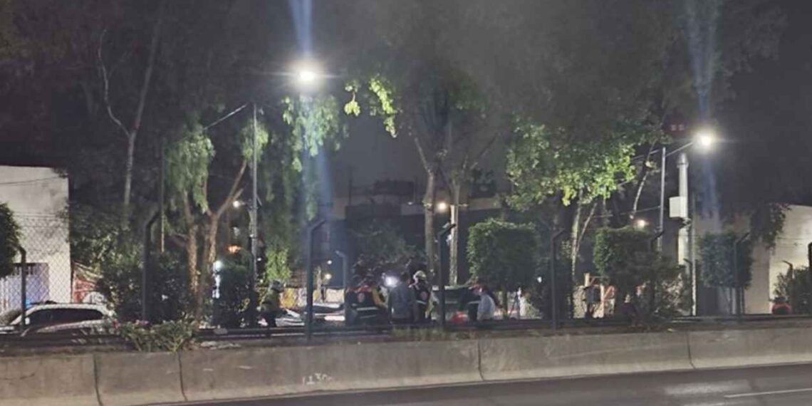 Persona muere tras arrojarse a las vías del Metro de CDMX