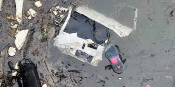 Accidente en Nueva York: Piden revocar licencia de empresa