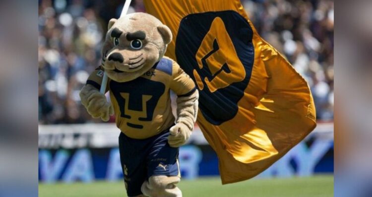 Convoca Pumas femenil a crear su botarga: Esto puedes ganar