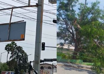 Rachas de vientos causan caída de árboles y fallas eléctricas en Reynosa, Tamaulipas