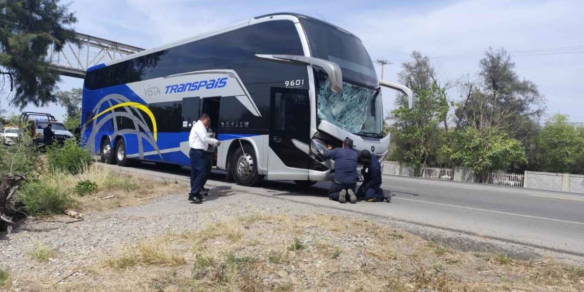 autobús rama Victoria-Monterrey