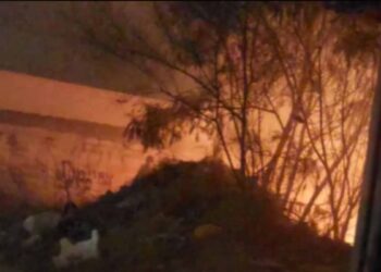 ¿Cuántos incendios ha habido en abril en Monterrey?