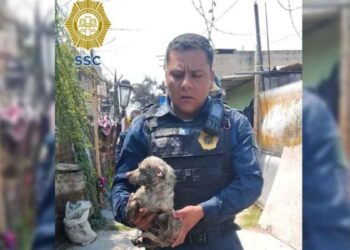 Rescatan a lomitos, aves y un hombre durante incendio en casa de Iztapalapa