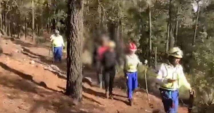 Rescatan a tres alpinistas extraviados en el Ajusco