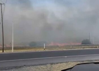 Se registra fuerte incendio de pastizal sobre la carretera Victoria-Soto la Marina